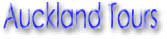 Auckland Tours & Activities