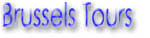 Brussels Sightseeing Tours & Activities