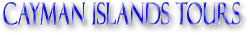 Cayman Islands Sightseeing Tours & Activities
