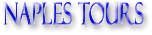 Naples Tours & Activities