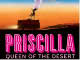 Priscilla Queen of the Desert Theatre and Hotel Break. The Palace Theatre
