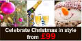  Xmas & New Year Breaks